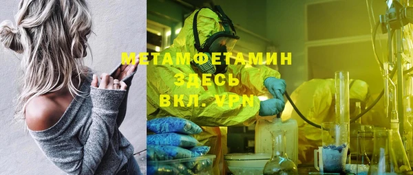индика Новосибирск
