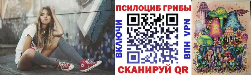 где продают наркотики  KRAKEN ссылки  Псилоцибиновые грибы прущие грибы  Чудово 